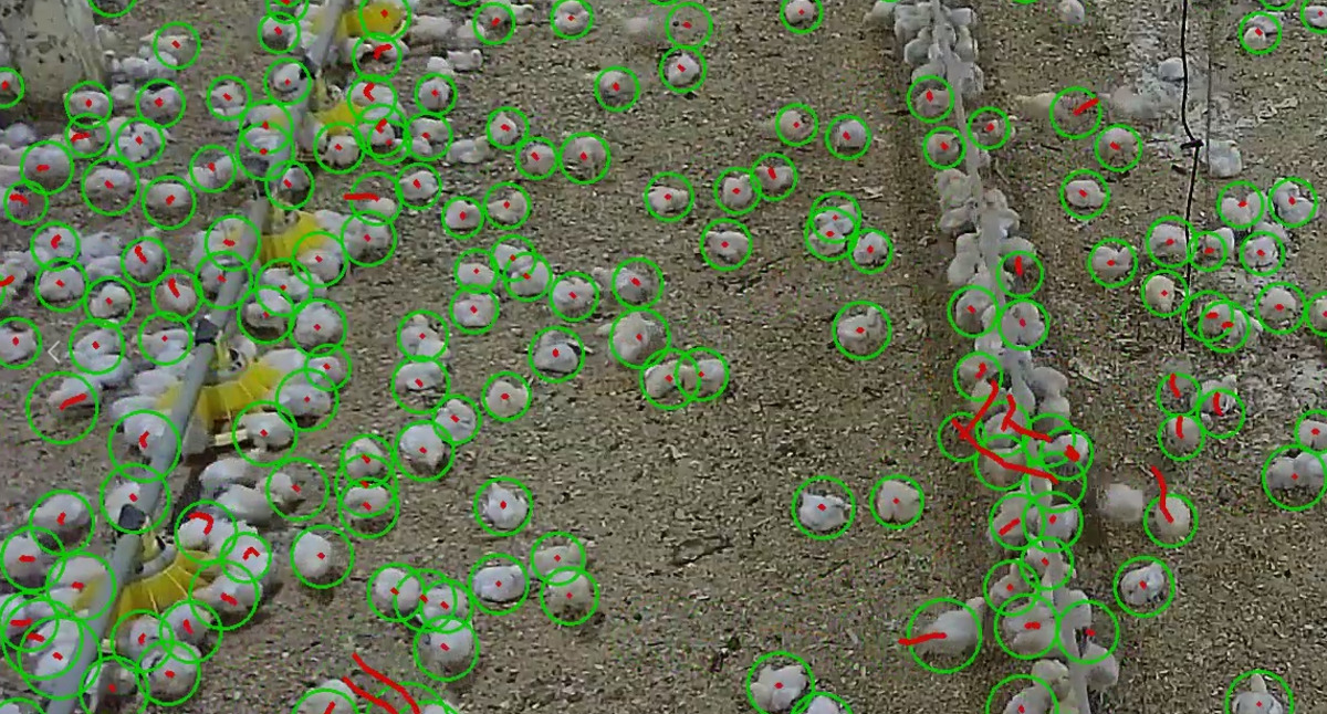Animal welfare video analytics illustration 4