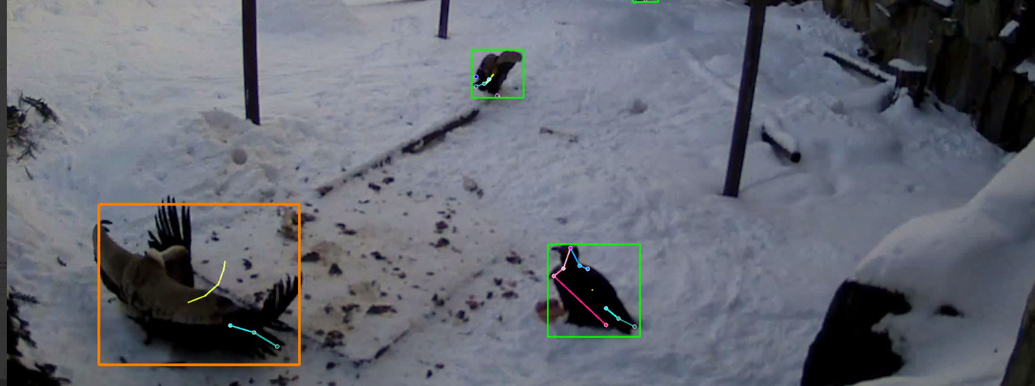 Animal welfare video analytics illustration 6